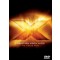 X 2005 (DVD)